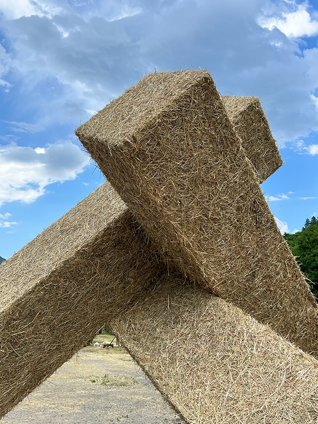 http://franziskaagrawal.com/files/gimgs/th-208_2025-Valloire-Strawsculpture-Lean-Franziska-Agrawal_web_6.jpg